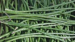 Tre varietà di fagiolini