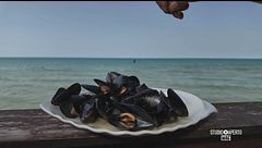 Domenica 23 agosto