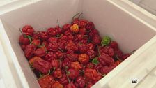 Venerdì 4 settembre
