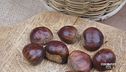 Le castagne
