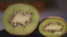 Il kiwi, un toccasana per la salute