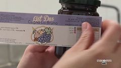 Farigliano, il paese dei gatti rossi