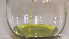 Conoscere l'olio extravergine d'oliva