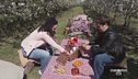 Il pic-nic perfetto