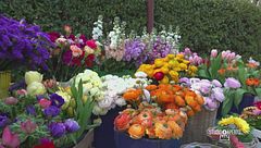 La primavera che trasforma un piccolo borgo