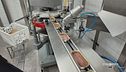 La lavorazione delle acciughe