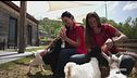 Il sogno di creare una fattoria