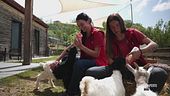 Il sogno di creare una fattoria