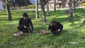 La raccolta di erbe spontanee