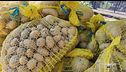 I mille modi per cucinare le patate
