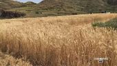 La sfida di un'azienda agricola
