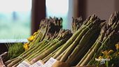 Le virtù degli asparagi