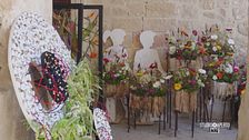 Leverano in fiore