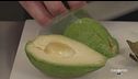 Conosciamo meglio l'avocado