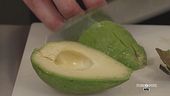 Conosciamo meglio l'avocado