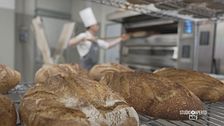 La storia del pizzaiolo più premiato del nord ovest