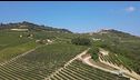 Uva pregiata sulle colline delle Langhe