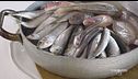 La freschezza del pescato in cucina