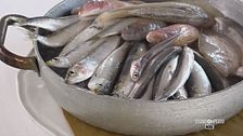 La freschezza del pescato in cucina