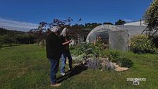 Il giardino di casa contro il grande caldo
