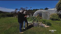 Il giardino di casa contro il grande caldo
