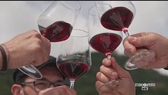 Tra i vigneti della Val di Susa