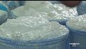 La ricotta di fuscella
