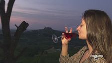 In vigna sotto le stelle