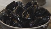 Cozze con crema allo zafferano