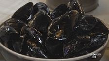 Cozze con crema allo zafferano