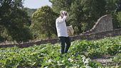 Ricette a km zero