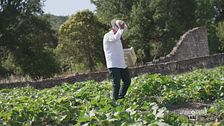 Ricette a km zero