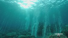 I vulcani sommersi di Panarea