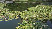 I giardini di Merano