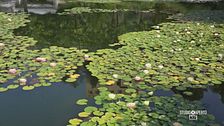 I giardini di Merano