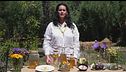 Le erbe aromatiche