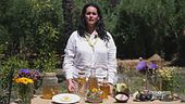 Le erbe aromatiche