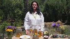 Le erbe aromatiche