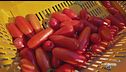 Il pomodoro San Marzano Dop