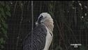 Un rifugio per animali rari e specie minacciate