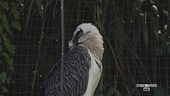 Un rifugio per animali rari e specie minacciate