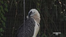 Un rifugio per animali rari e specie minacciate