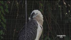 Un rifugio per animali rari e specie minacciate