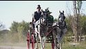 Il fascino delle carrozze d'epoca