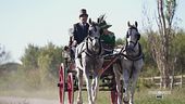 Il fascino delle carrozze d'epoca