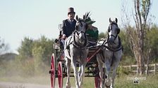 Il fascino delle carrozze d'epoca