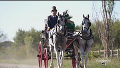Il fascino delle carrozze d'epoca
