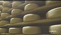 Una guida per conoscere i formaggi