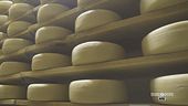 Una guida per conoscere i formaggi