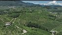 Colline di Trevignano patrimonio Unesco